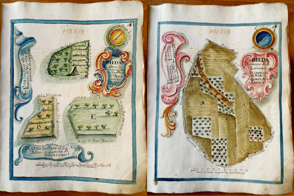 Cedido Archivio Mappa