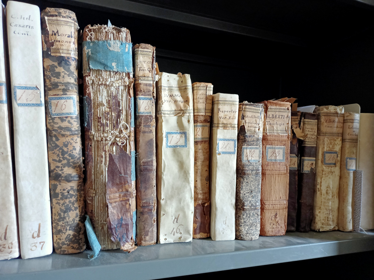 CeDiDo - Biblioteca